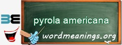 WordMeaning blackboard for pyrola americana